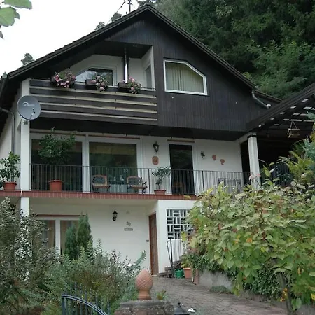 Im Pfaelzerwald Neidenfels